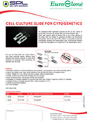 Flyer Chamber slide SPL